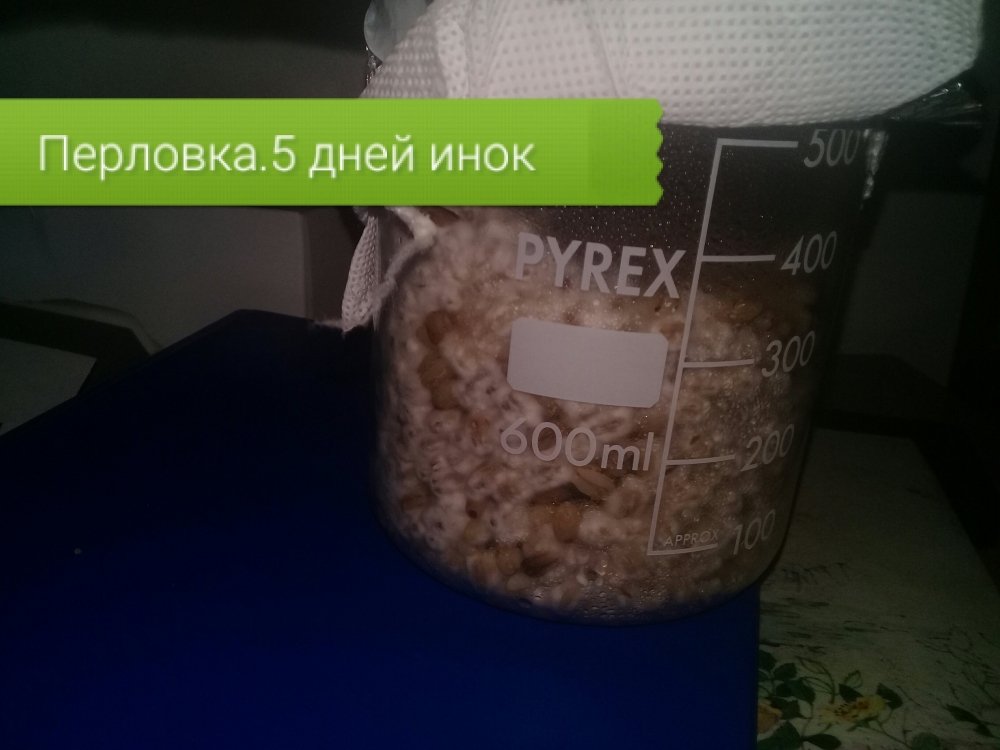 20190112_211908.jpg