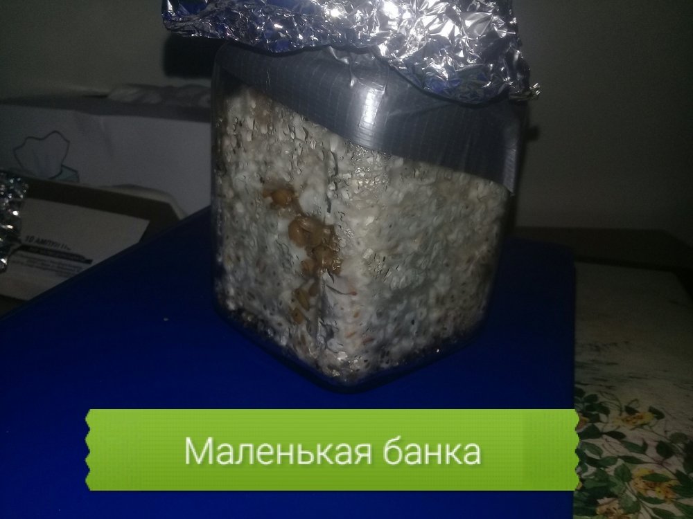20190112_212009.jpg
