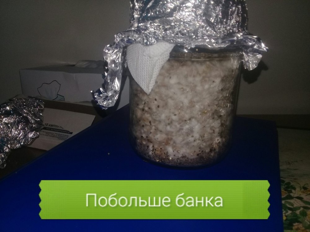 20190112_212053.jpg