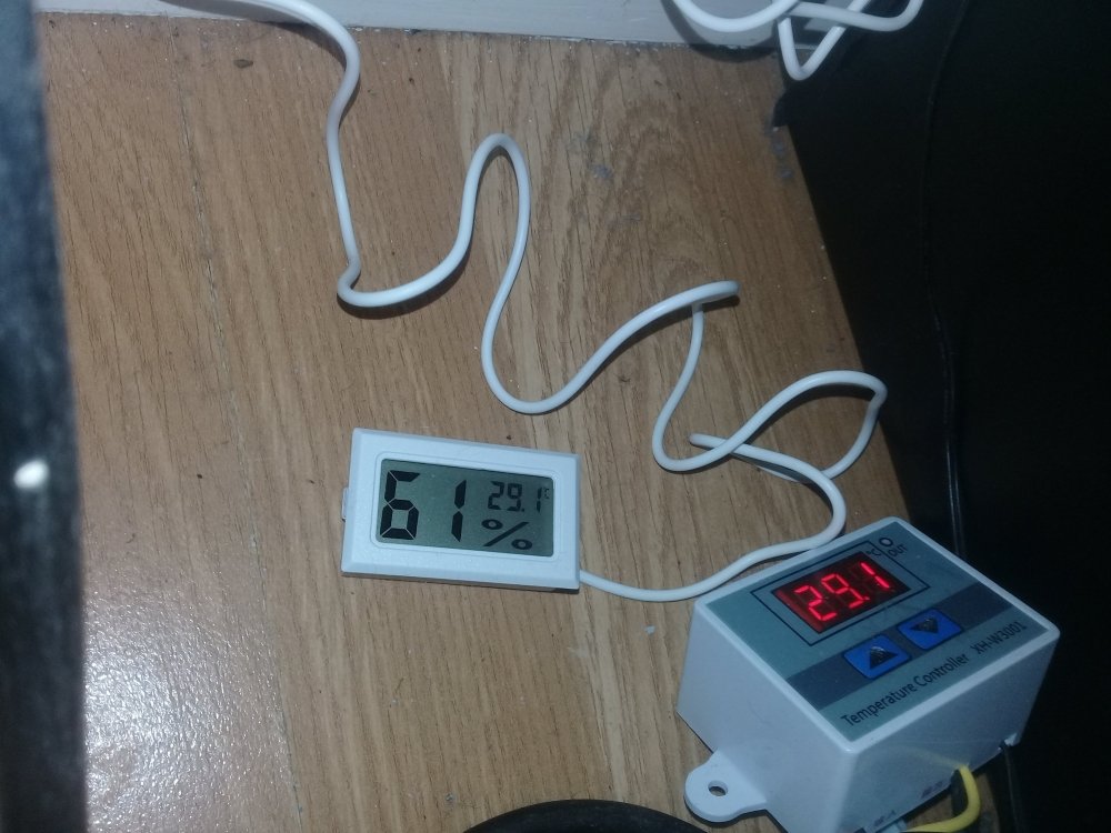20190115_222734.jpg