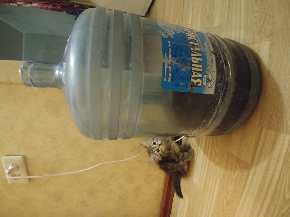 20190116_183618.jpg