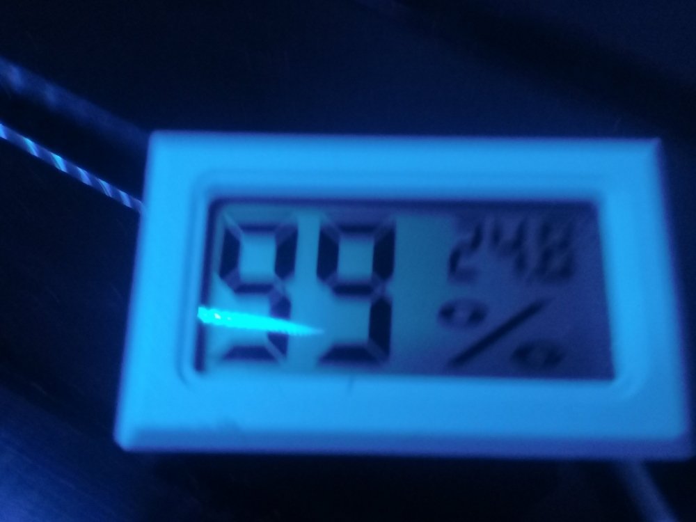 20190117_230112.jpg