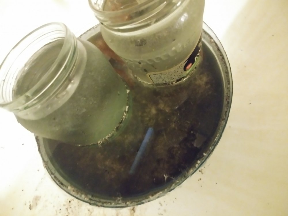 20190127_111354.jpg