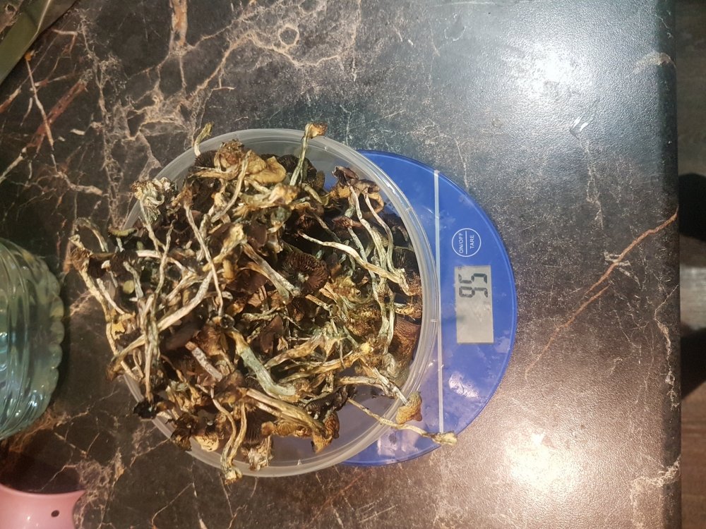 20190128_215242.jpg