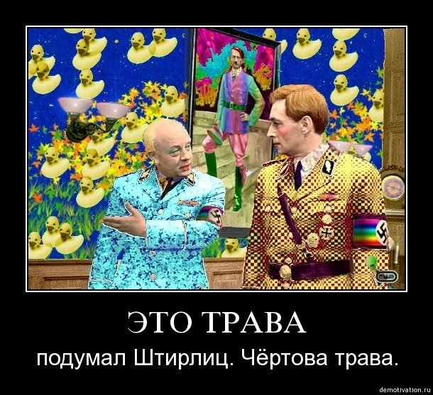 2vu47iwveesa.jpg