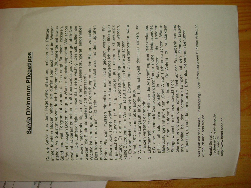 DSCF0914.JPG
