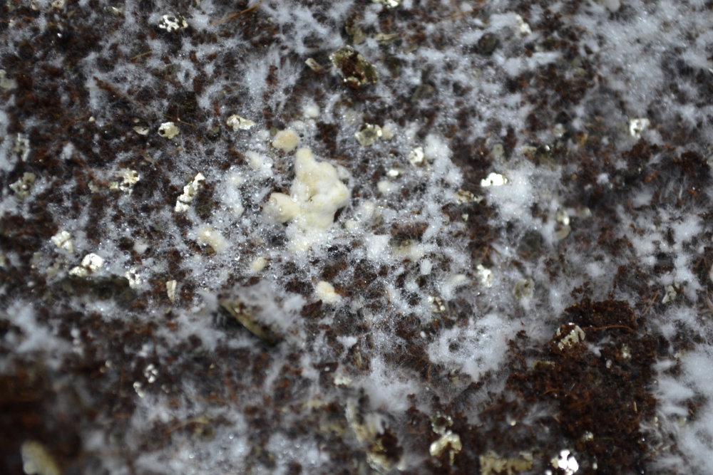 DSC_0004.JPG