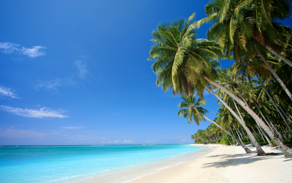 image.thumb.png.6e0c0f32117be20c4b7cc26448bddb0d.png