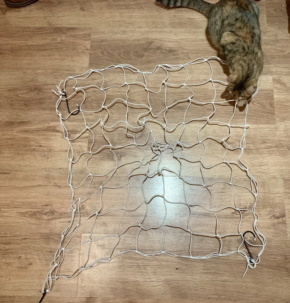 scrog.thumb.jpg.c87429d30dc653d3203043dd3f2b6300.jpg