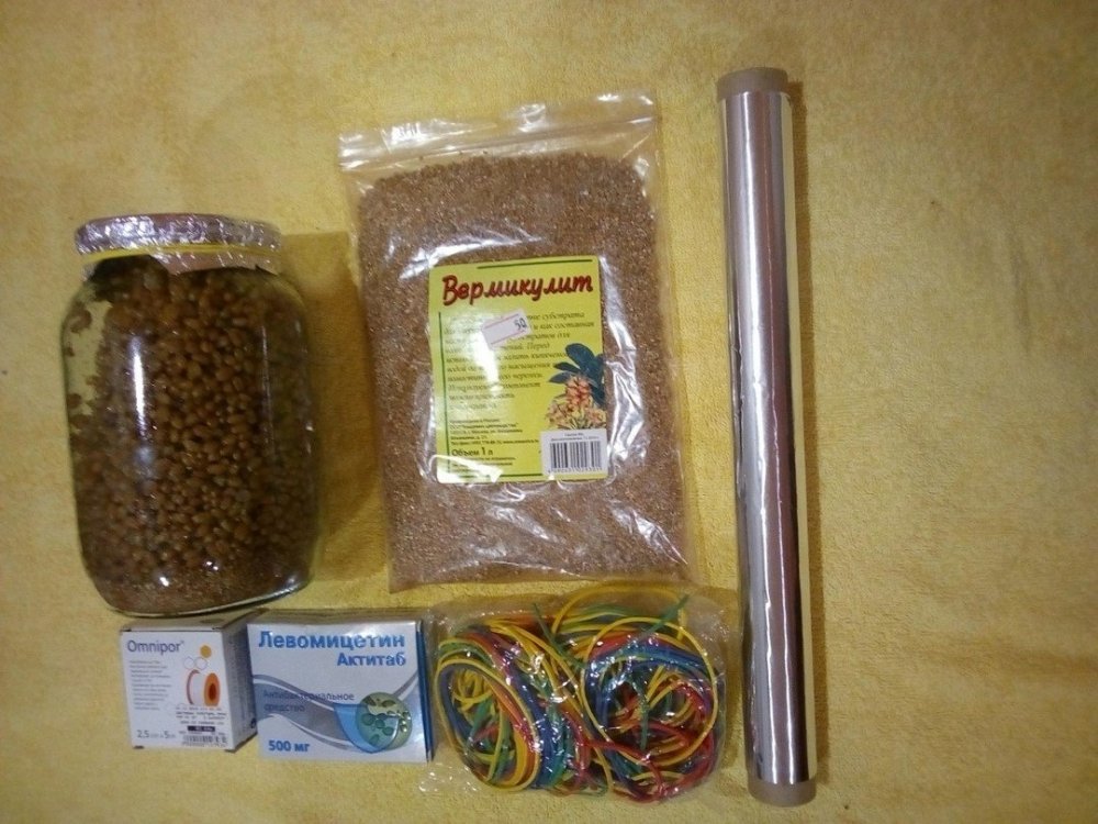 zxRVHuvuGSI.jpg