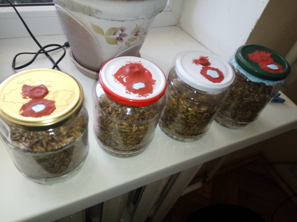 23.02.2019-6 day - 14.jpg