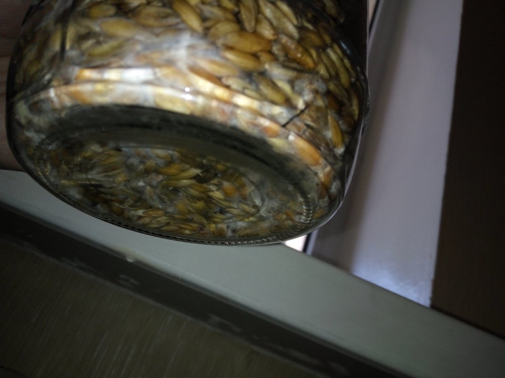 23.02.2019-6 day - 12.jpg