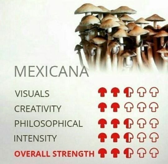 1549863810625135.jpg