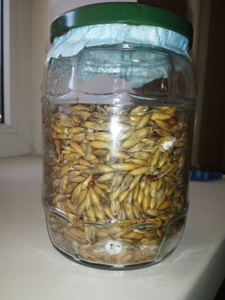 23.02.2019-6 day - 11.jpg