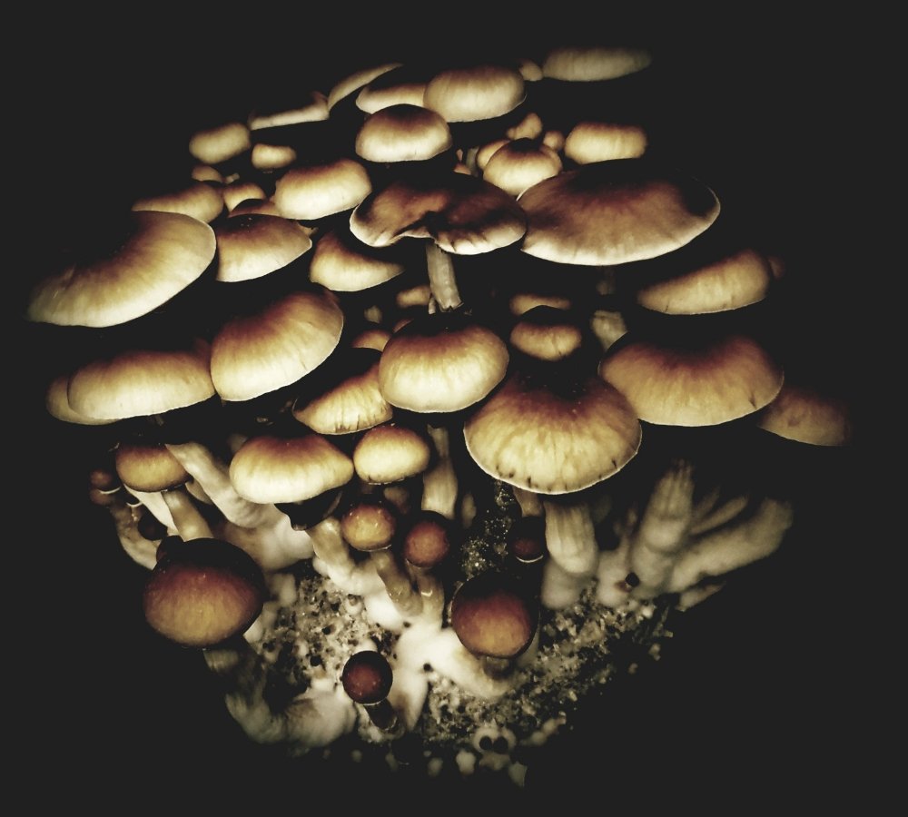 20190207_225704.jpg