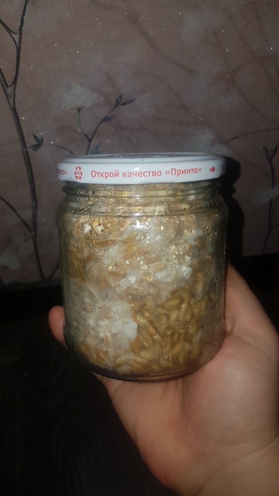 20190226_101454.jpg