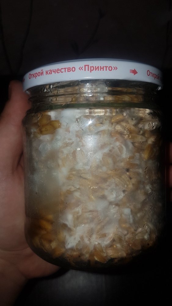 20190226_101603.jpg