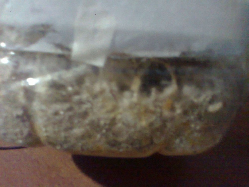 2111072211_0611.thumb.jpg.1409d145d325265d598d3ed83b8952fc.jpg