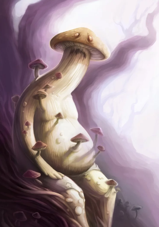 222222.thumb.PNG.1e8dabd38c3130914a97e56186c4b1a7.PNG