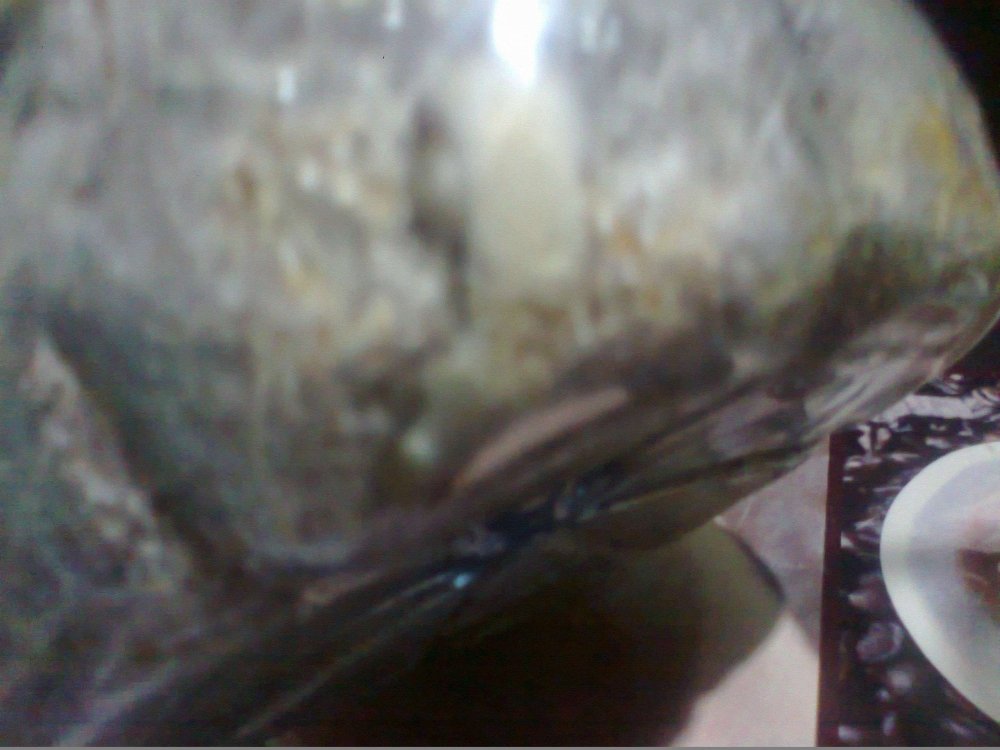 408757511_0592.thumb.jpg.3ce9a30411c11ec1d6b3486aeac753ff.jpg