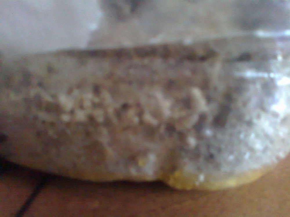 616371466_0584.thumb.jpg.b4043cd202735c72b0ea1a8d4dfb3711.jpg