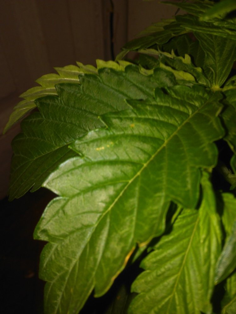 IMG_20190203_140449.jpg