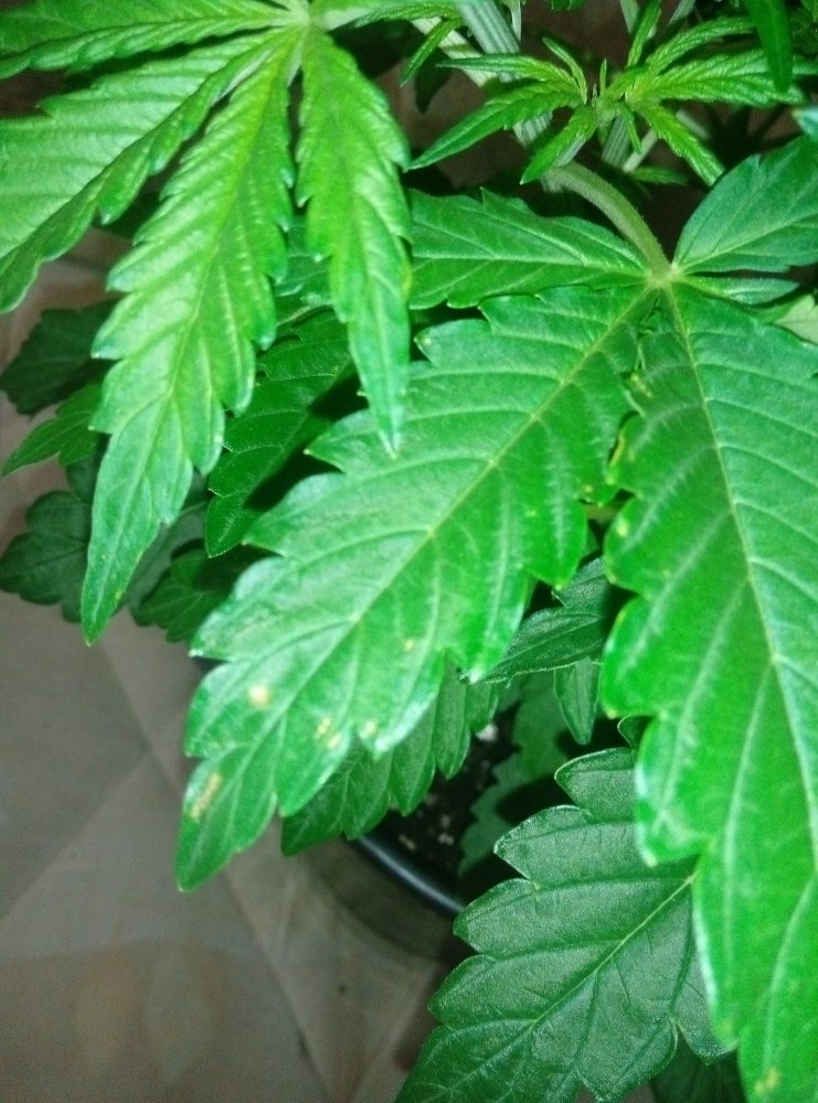 P90206-194102.jpg