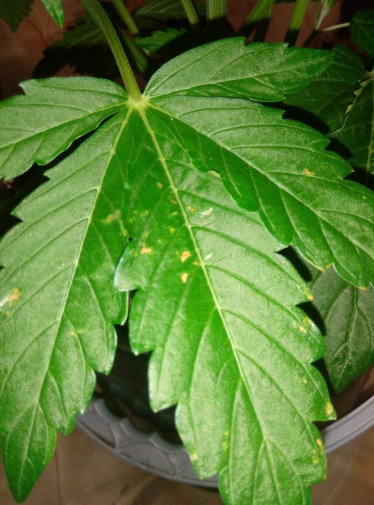 P90207-185343.jpg