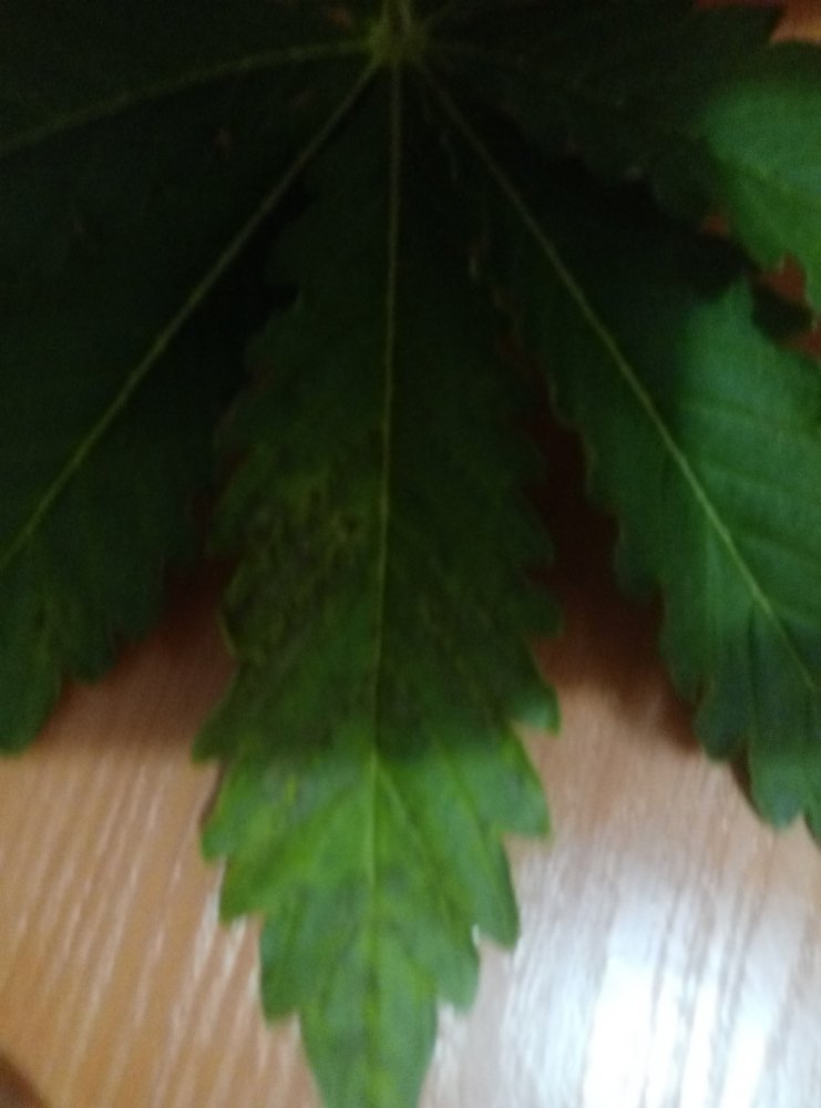P90213-105638.jpg