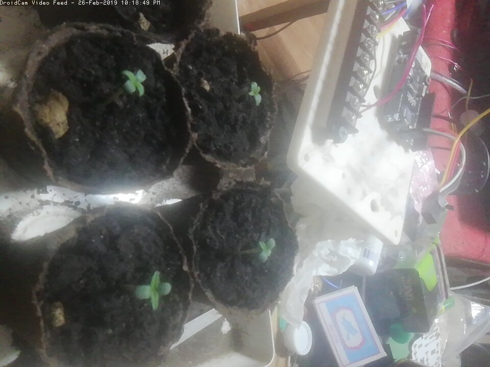 droidcam-20190226-221850.jpg