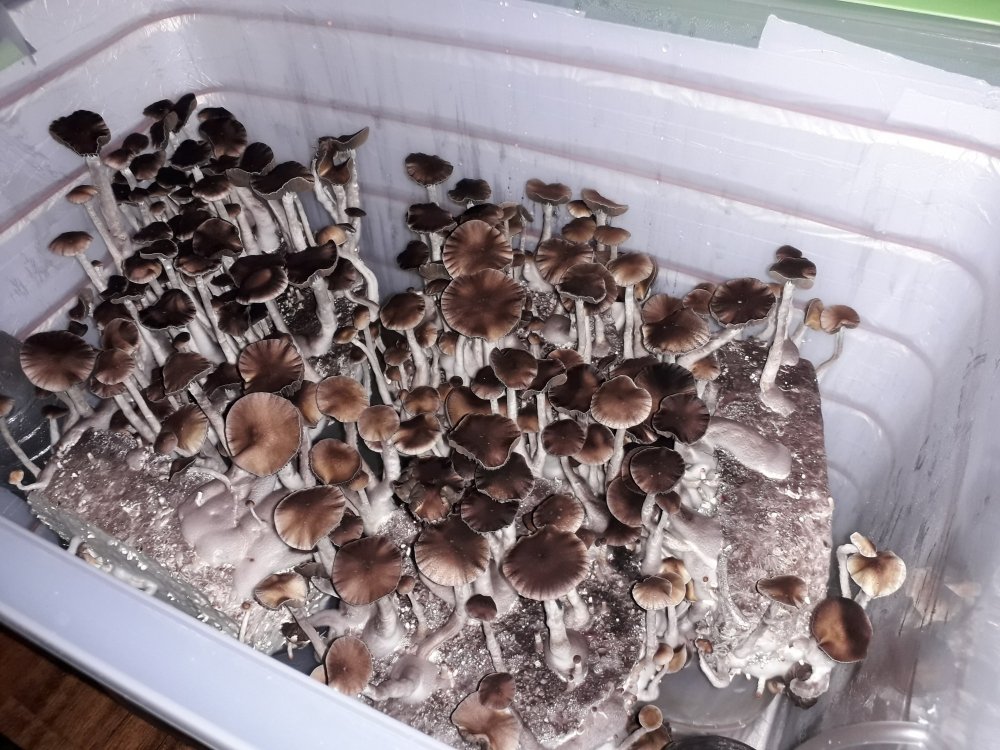 20190330_205931[1].jpg