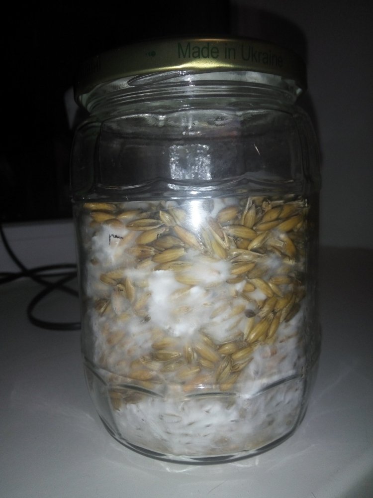 01.03.2019 - 12 days - 2.jpg