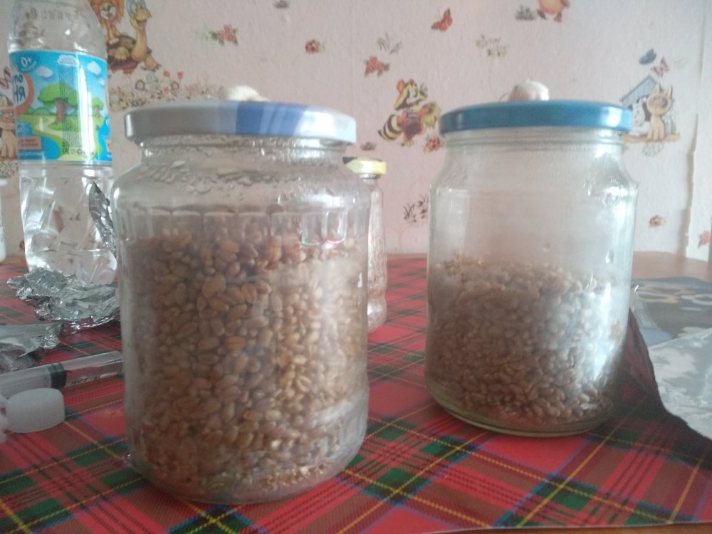 IMG_20190321_103708[1].jpg