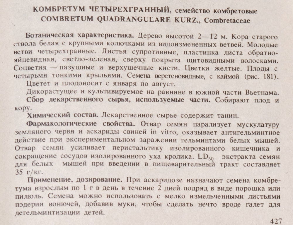 1470232722_Combretumquadrangulare4.thumb.JPG.cd1d4cbbf205c402fdf359b282fe7ac5.JPG