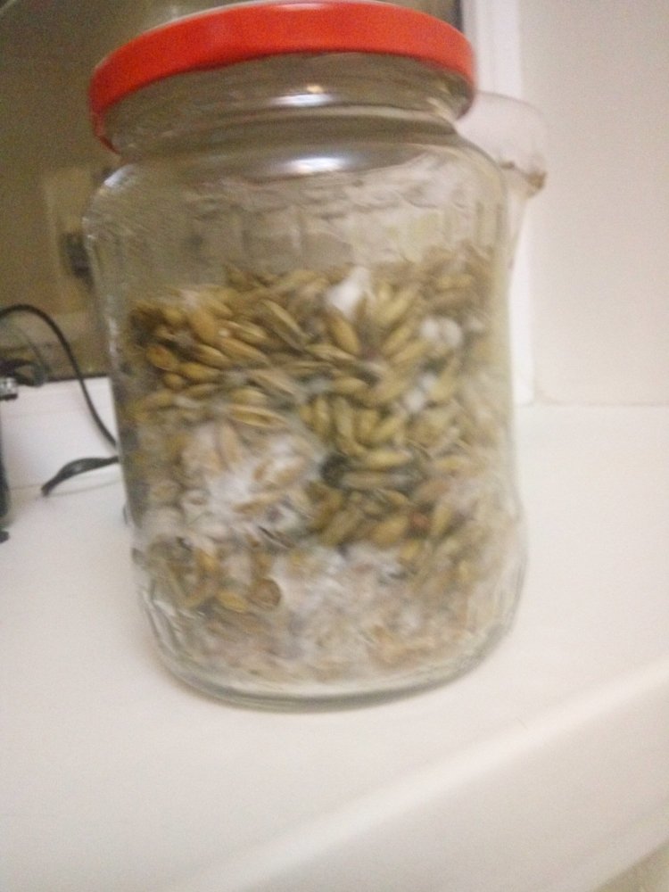 01.03.2019 - 12 days - 5.jpg