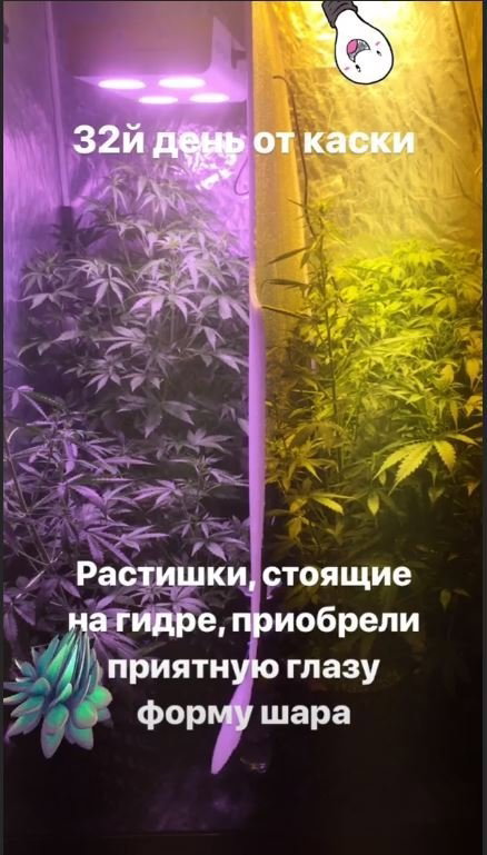 2.thumb.JPG.8bc3dceae842b5e0f1d450a53419f549.JPG