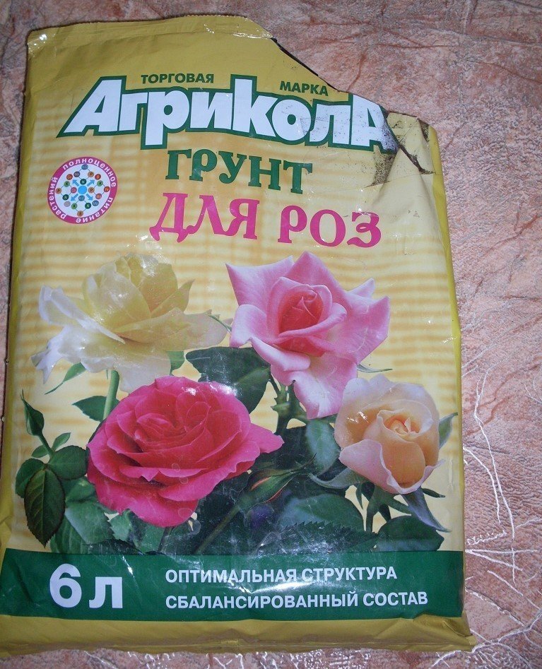 2.thumb.jpg.26ccc0471d07875e425fc591e654af04.jpg