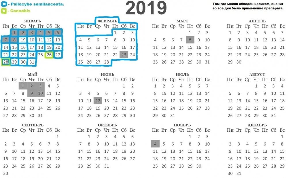 2019.thumb.jpg.c98301296e440add1e2c45965e50b4f1.jpg