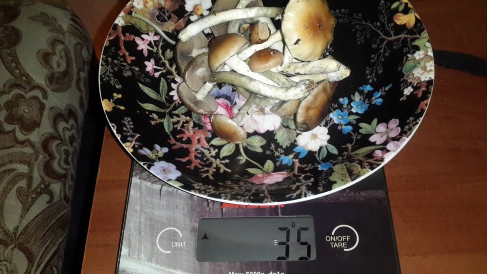 20190309_233010.thumb.jpg.73ac817b95b82e11860bdb86639ccab1.jpg