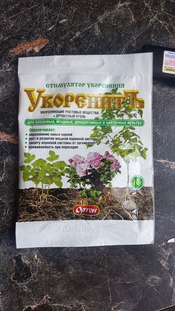 20190313_113135.jpg