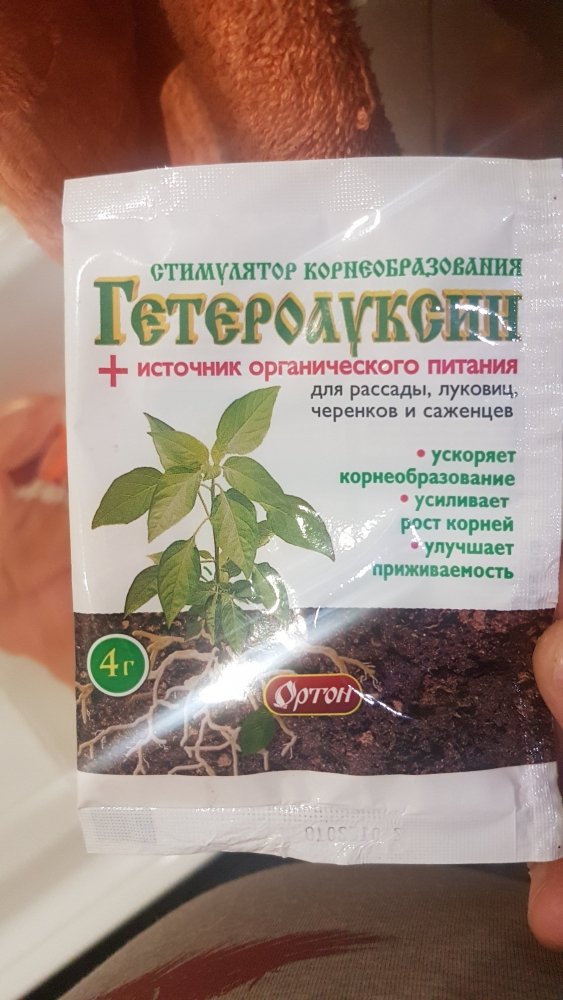 20190315_231225.jpg