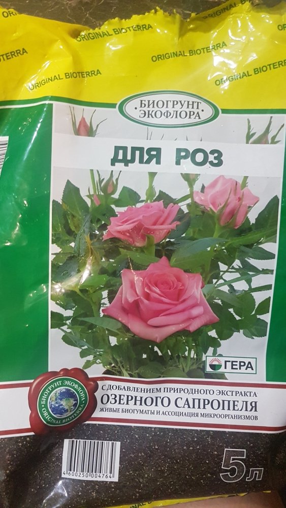 20190315_232717.jpg