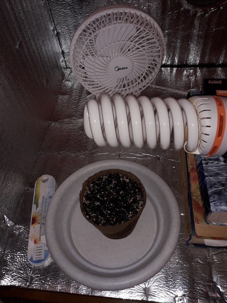 20190322_084419.jpg