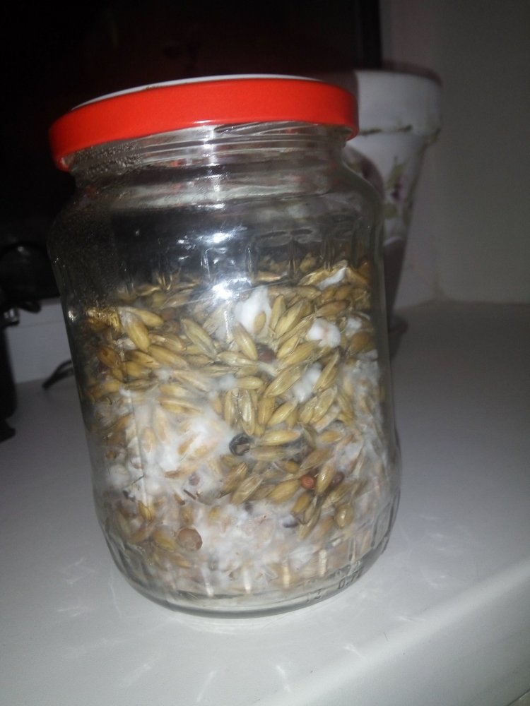 01.03.2019 - 12 days - 4.jpg