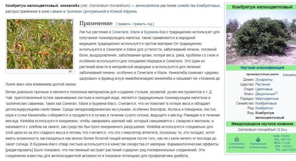 707450909_Combretummicranthum.thumb.jpg.f446f8df72c0f97702cea5c5fa95a348.jpg
