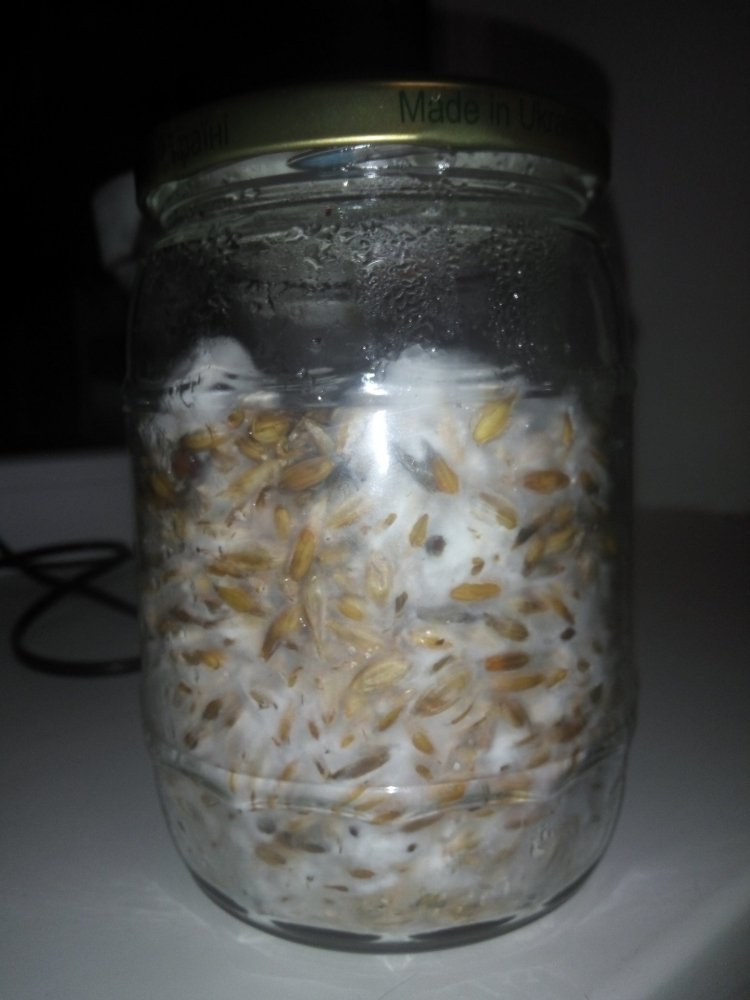 01.03.2019 - 12 days - 1.jpg