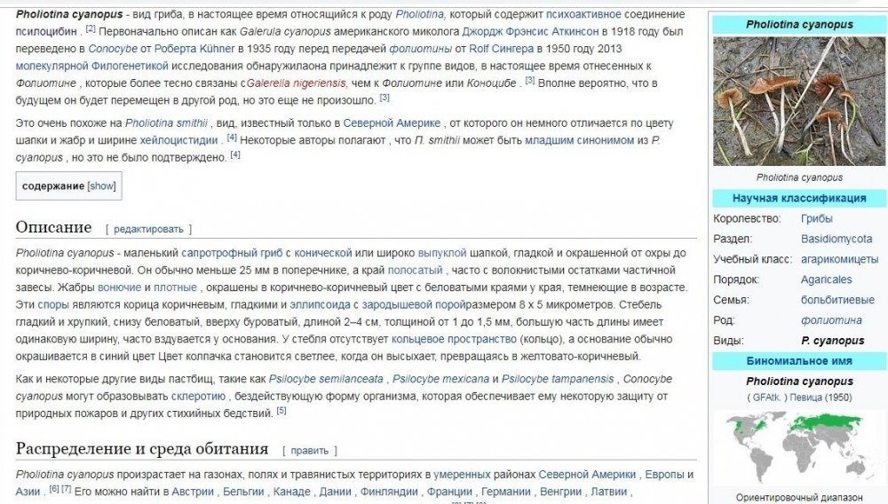 871170308_Pholiotinacyanopus.thumb.jpg.abe6b884a020e9ea75c7fb8155d83f9f.jpg