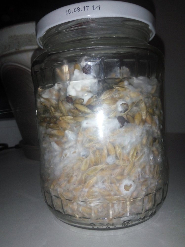01.03.2019 - 12 days - 9.jpg