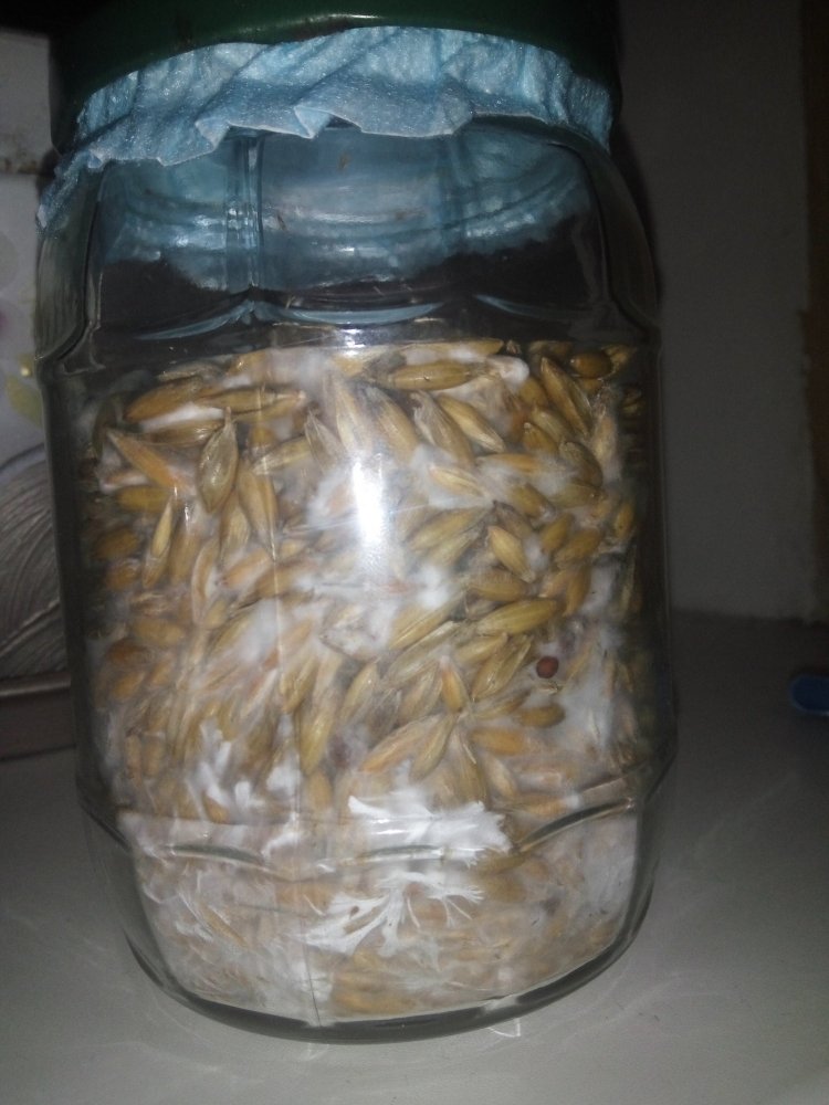 01.03.2019 - 12 days - 12.jpg