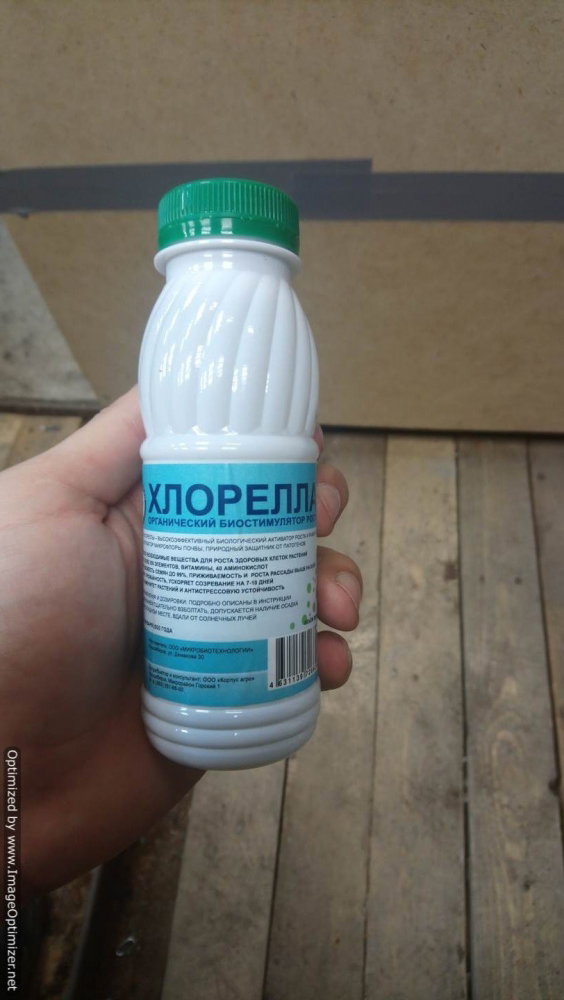 DSC_0969-Optimized.thumb.JPG.29b7bd9e3affea53026aefcbcdcae962.JPG